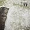 A snowfall (05)